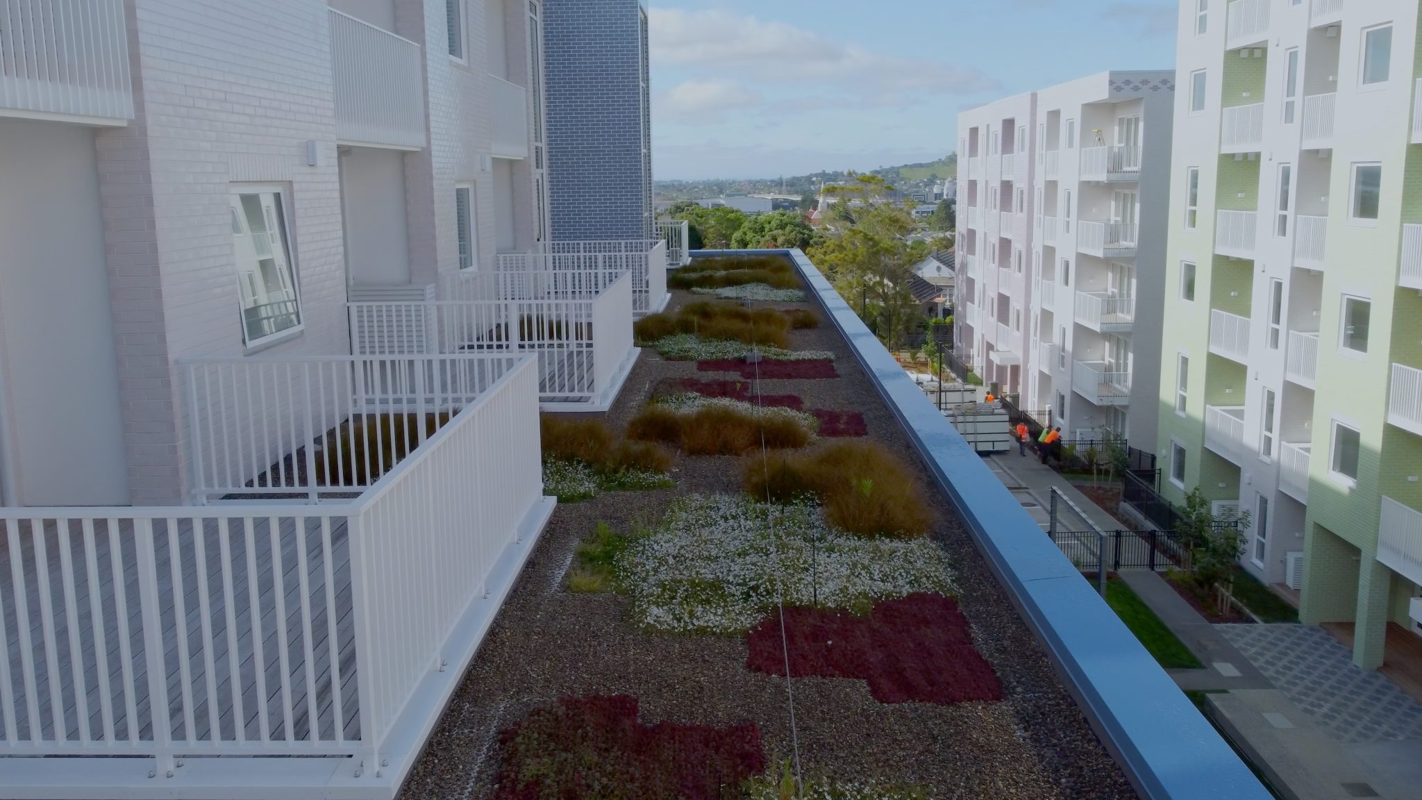 Permatec Extensive Green Roof System - Neuchâtel Extensive Green Roof