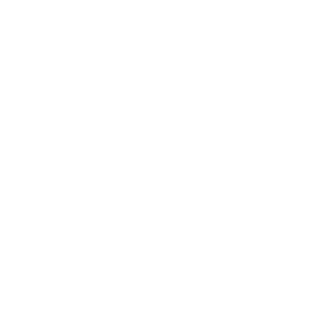 NZIA City Talks